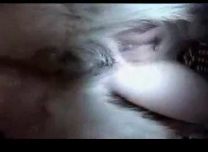 Video :Animal sex video of dog fucking amateur slut